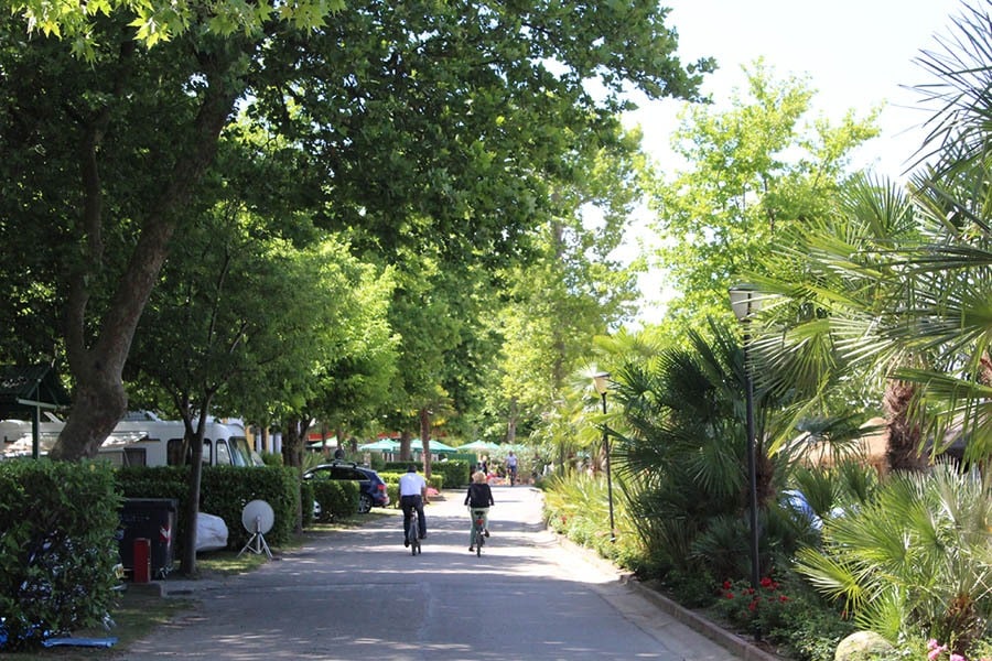 Camping Cisano/San Vito