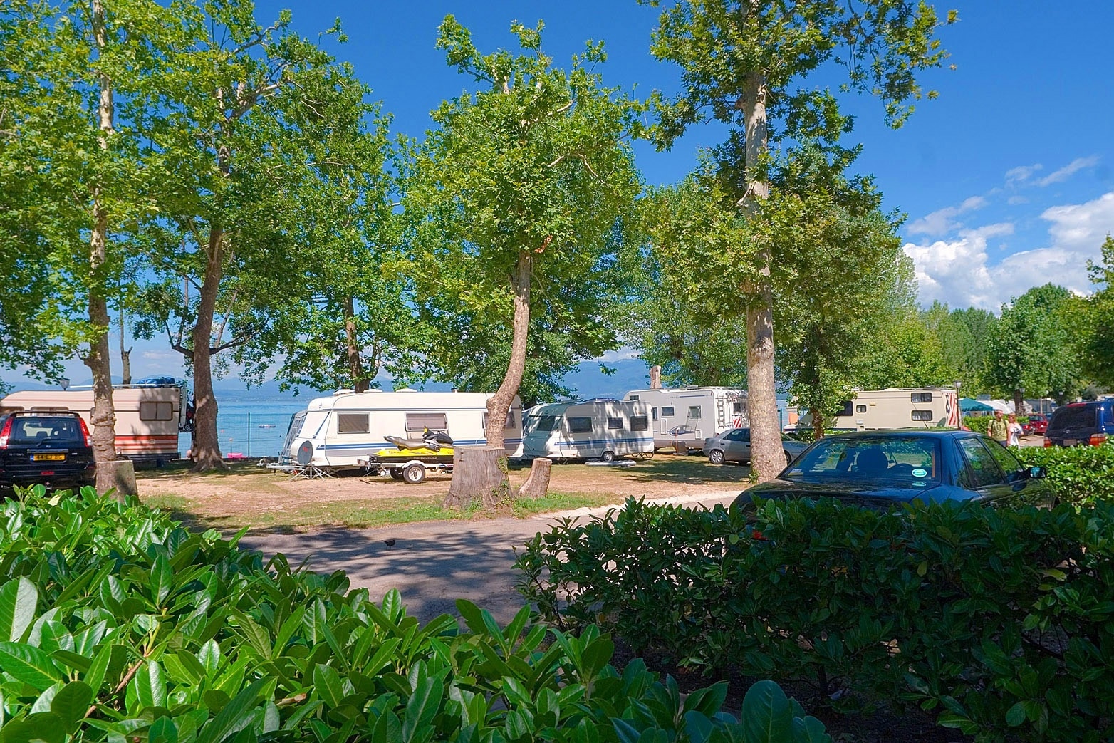 Camping Cisano/San Vito
