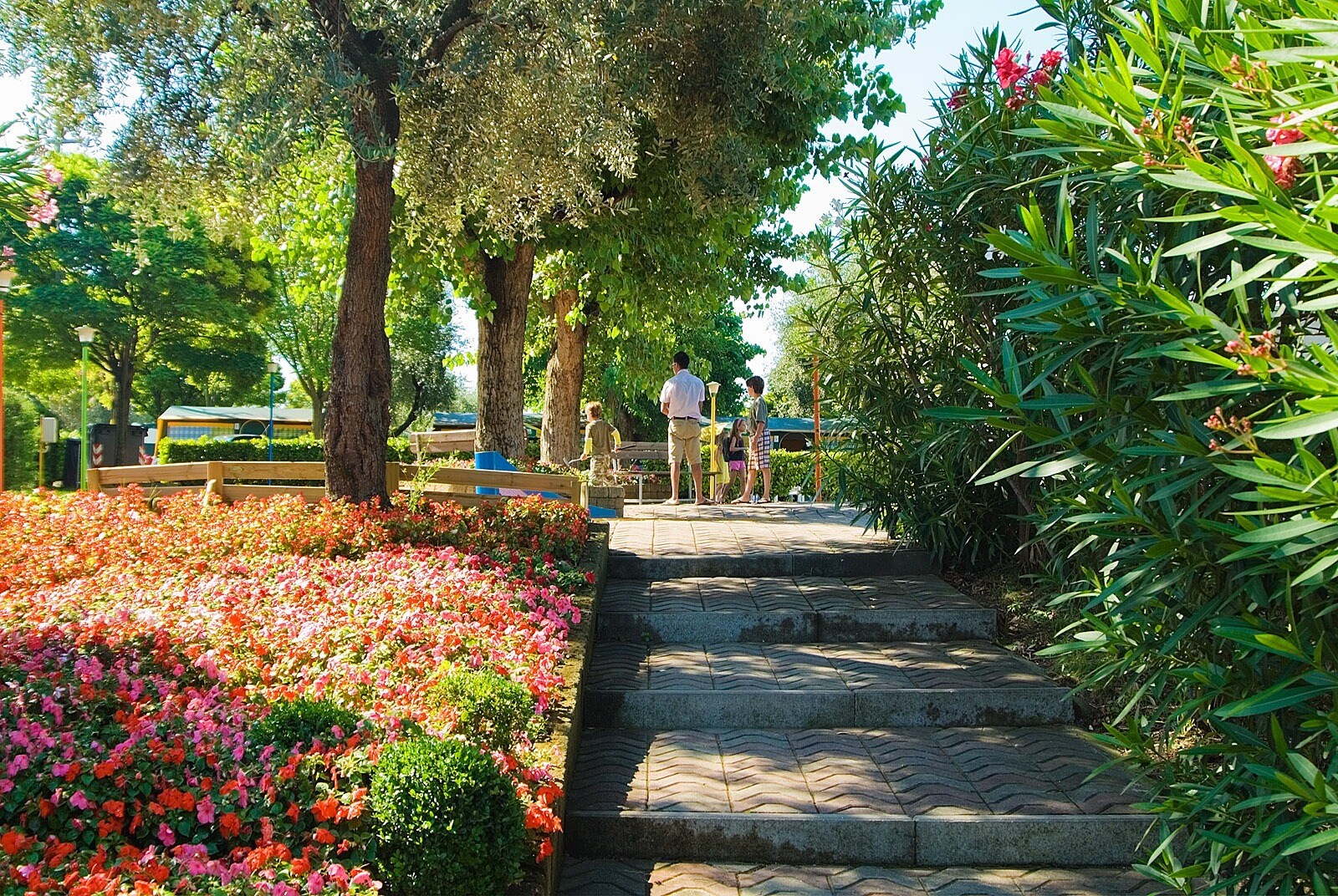 Camping Cisano/San Vito