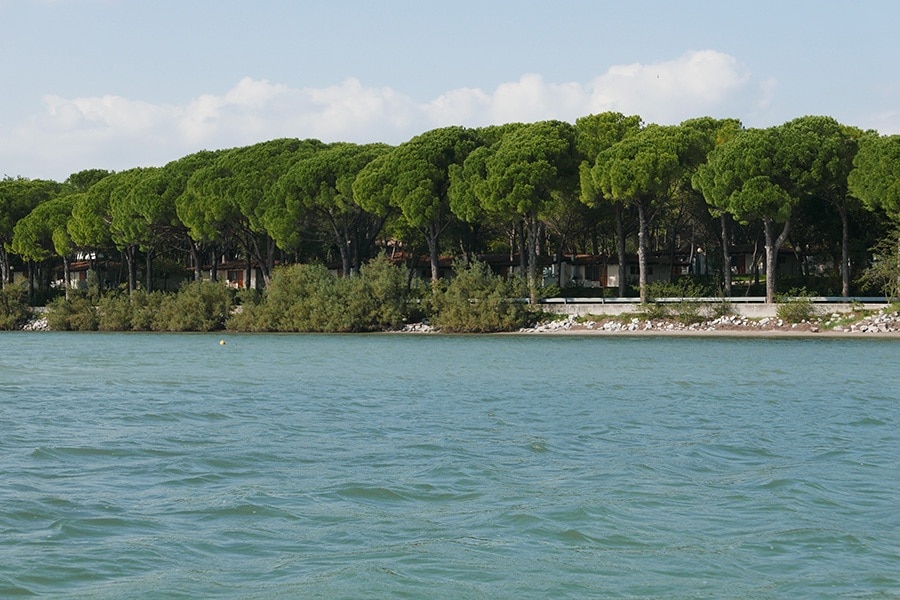 Belvedere Pineta Camping Village