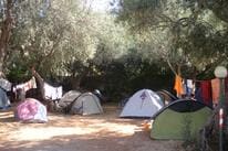 Camping Degli Ulivi – billede 5