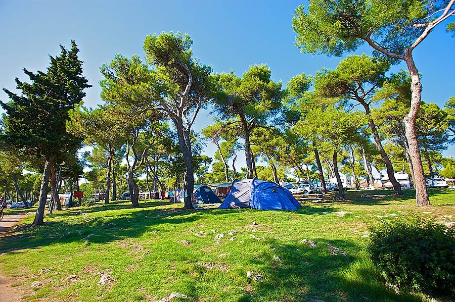 Arena Indije Campsite