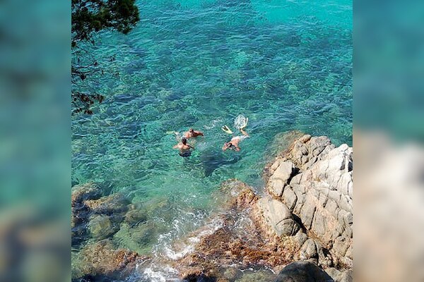 Camping Cala Llevadó