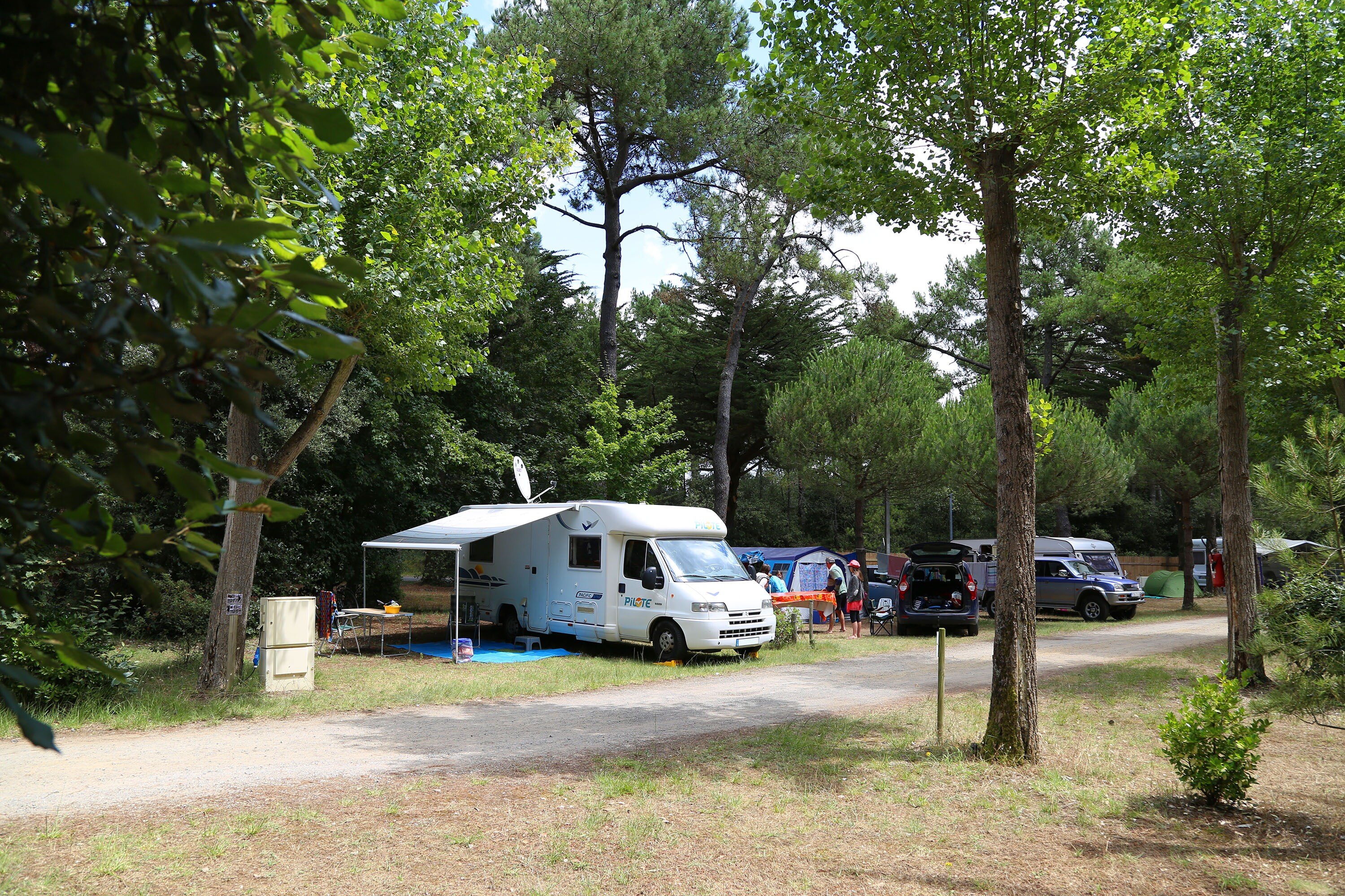 Camping Le Bois de la Gachère
