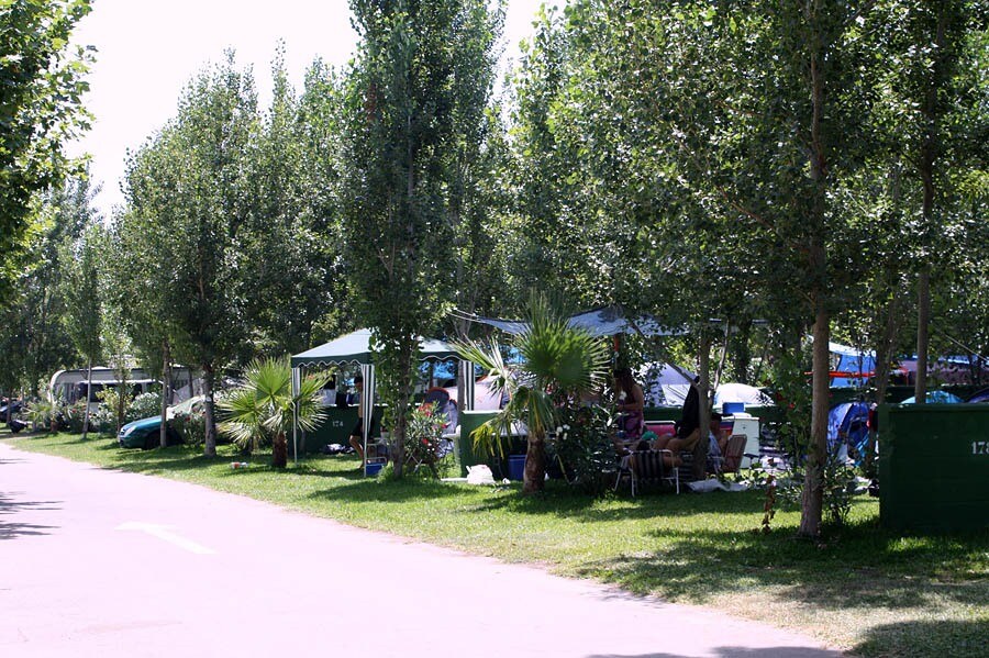Camping & Bungalows Roche