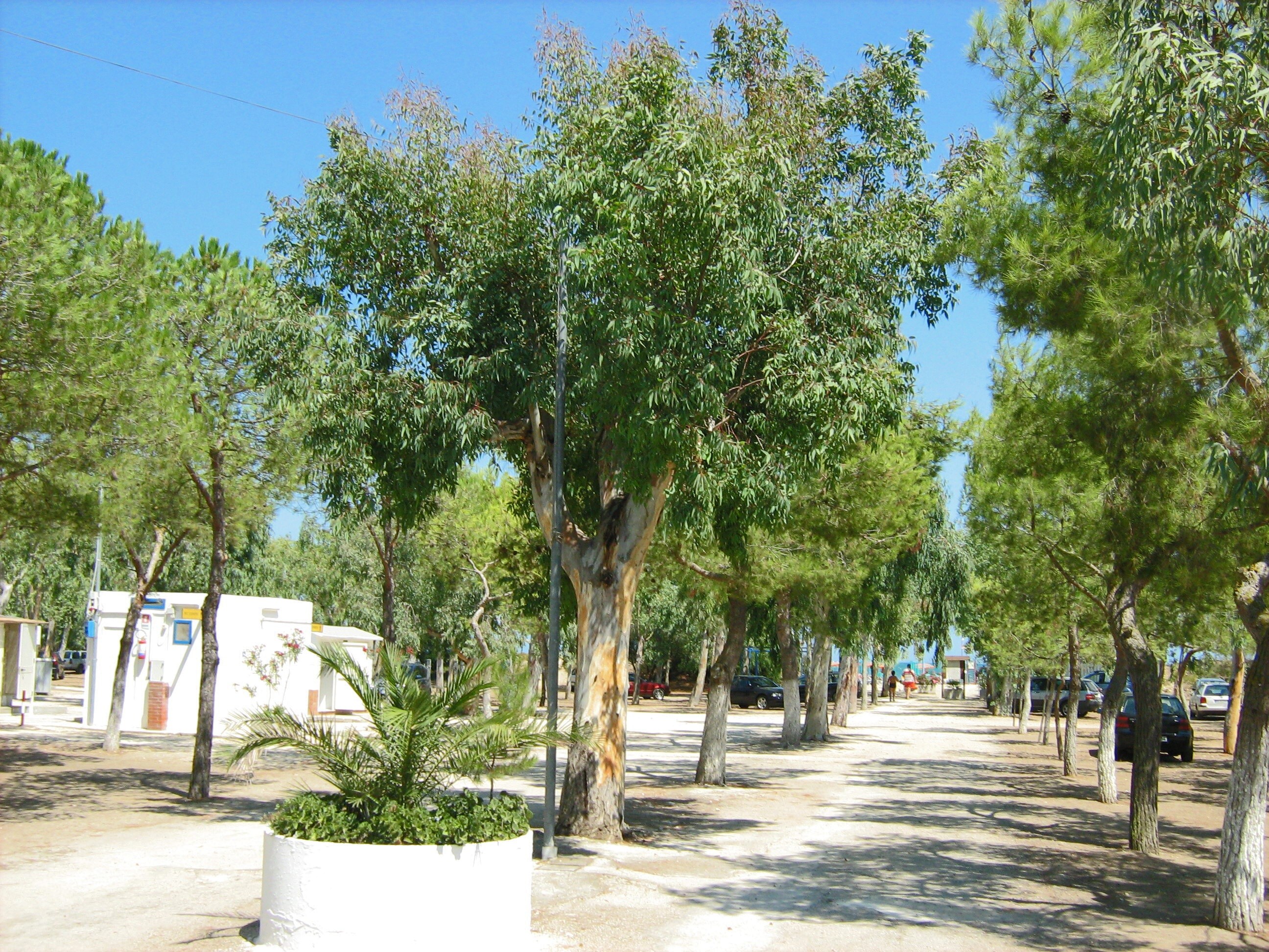 Camping Lido Salpi