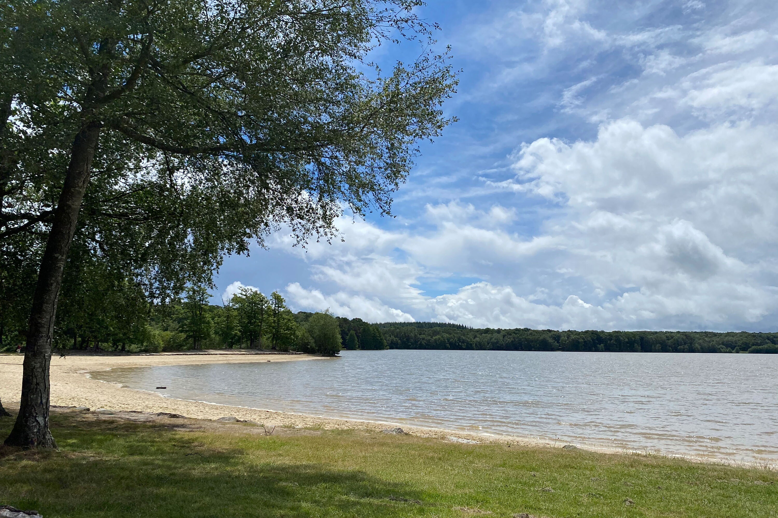 Camping Seasonova de La Forêt