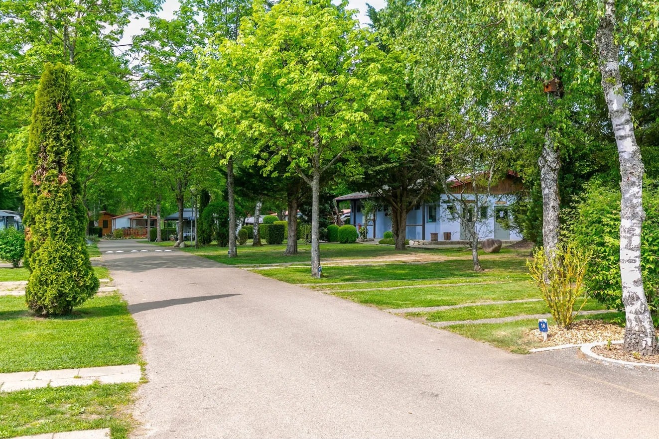 Flower Camping Les Bouleaux