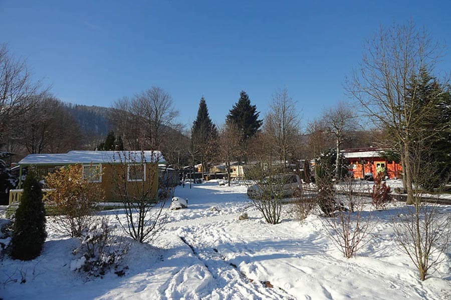 Flower Camping Les Bouleaux