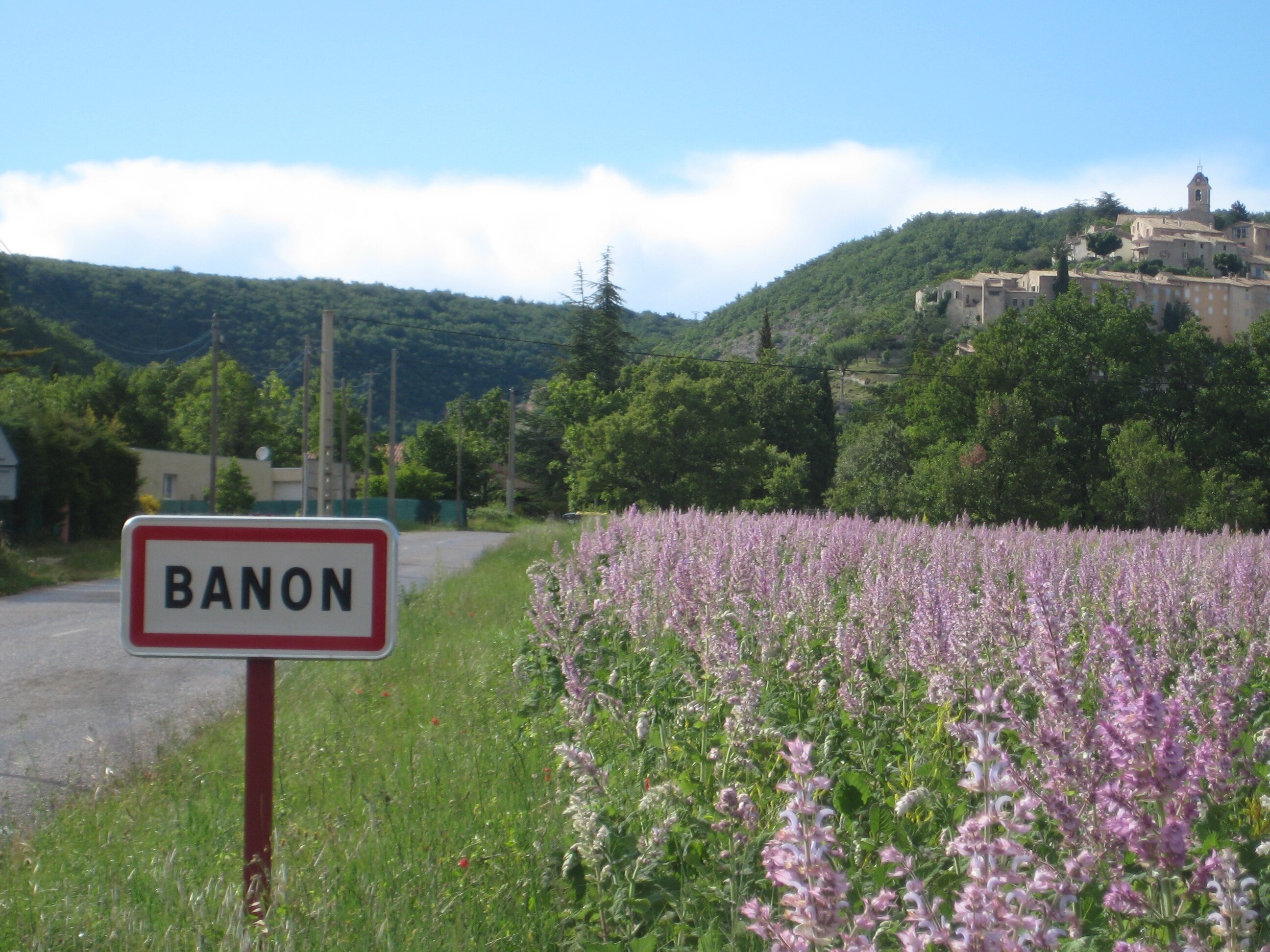 Flower Camping L'Epi Bleu