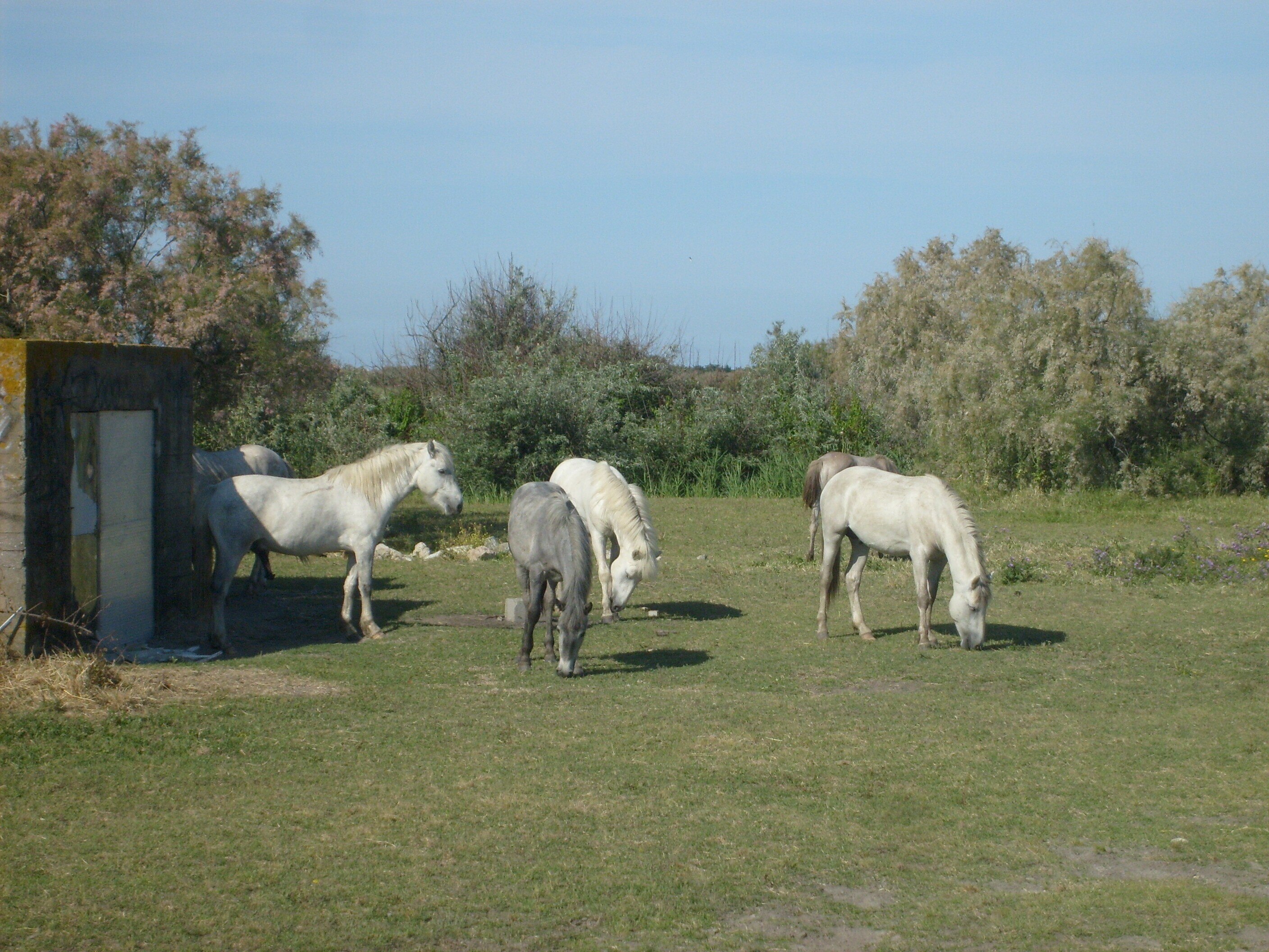Camping Le Clos du Rhône
