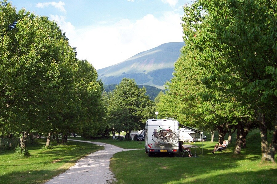 Flower Camping Ser Sirant