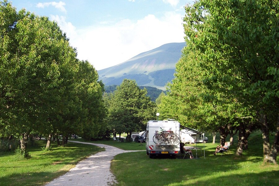 Flower Camping Ser Sirant