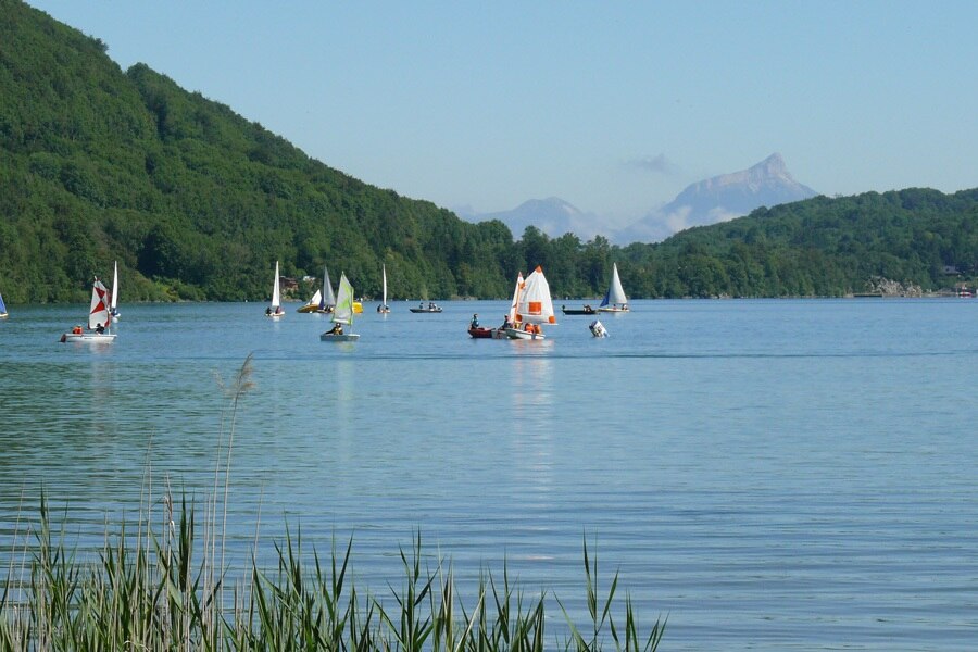 Flower Camping Ser Sirant