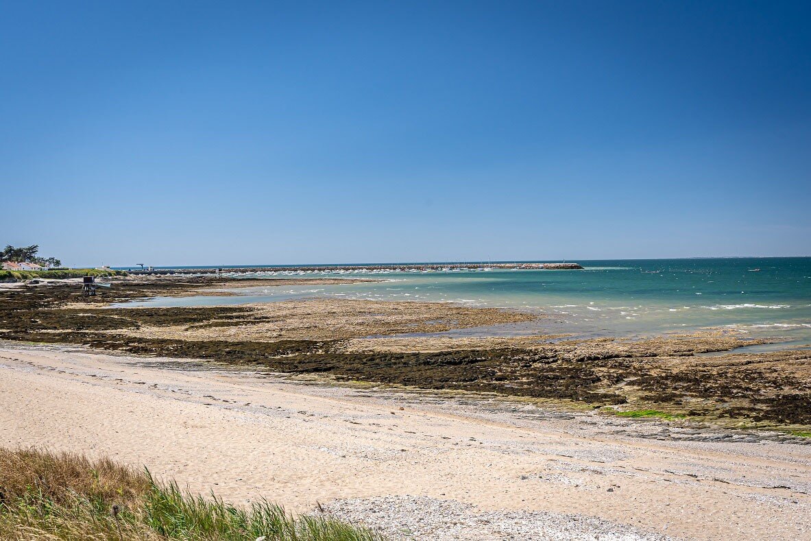 Flower Camping La Guichardière