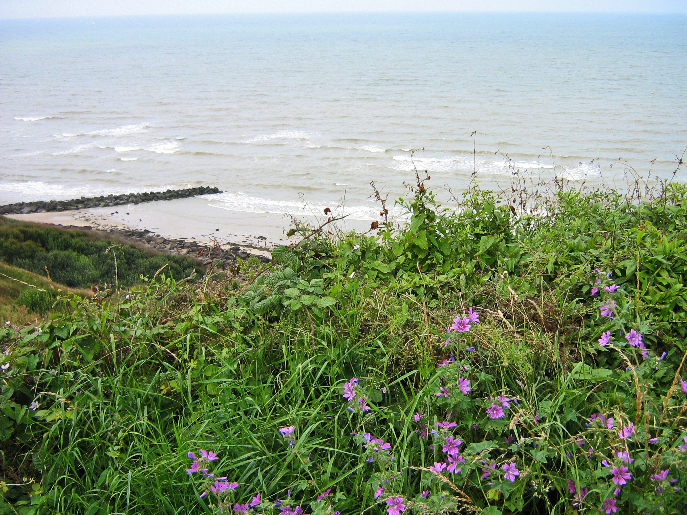 Camping Mun. La Falaise