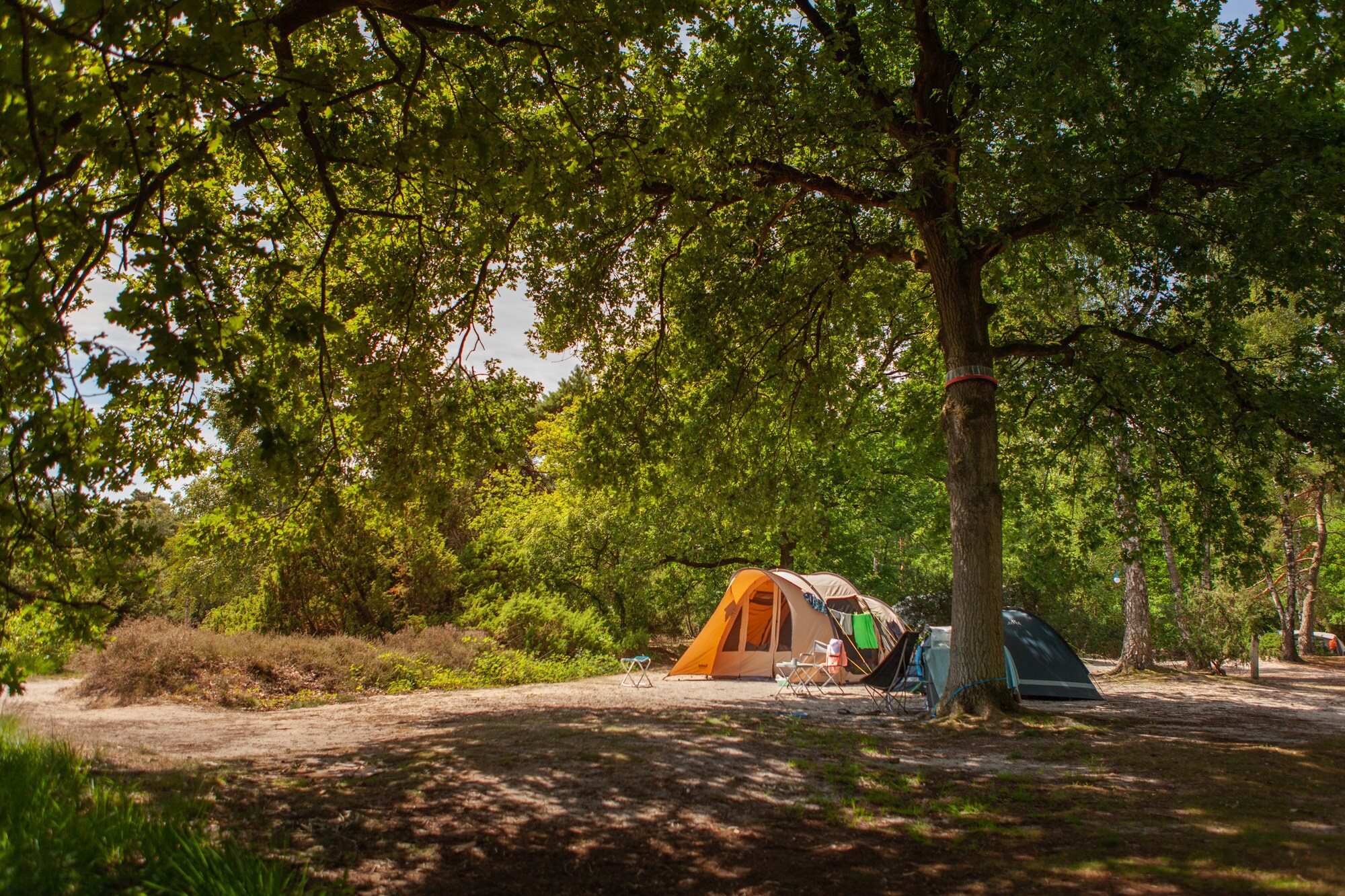 Landgoedcamping Het Meuleman