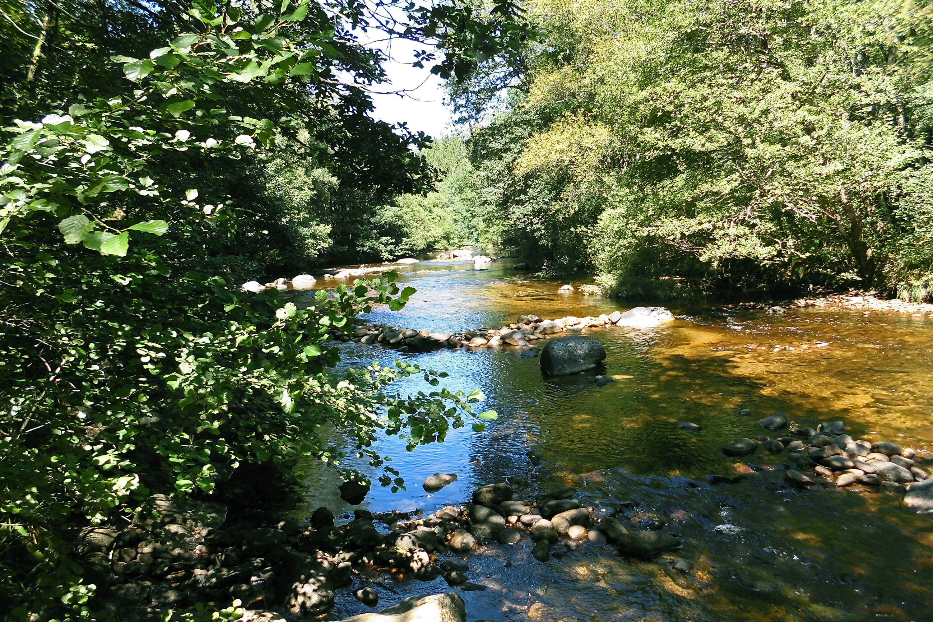 Camping Aux Portes des Mille Sources
