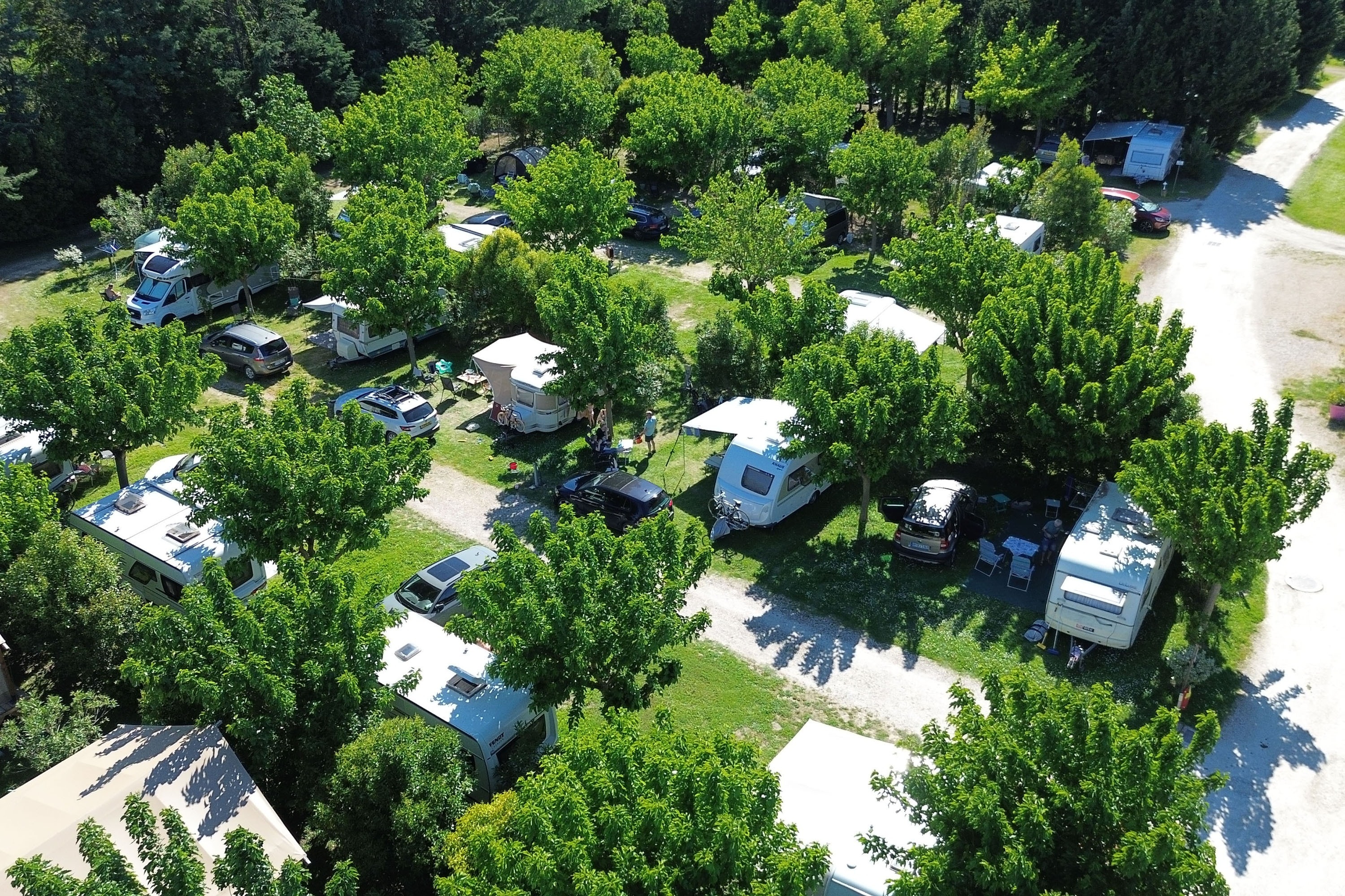 Camping Les Micocouliers