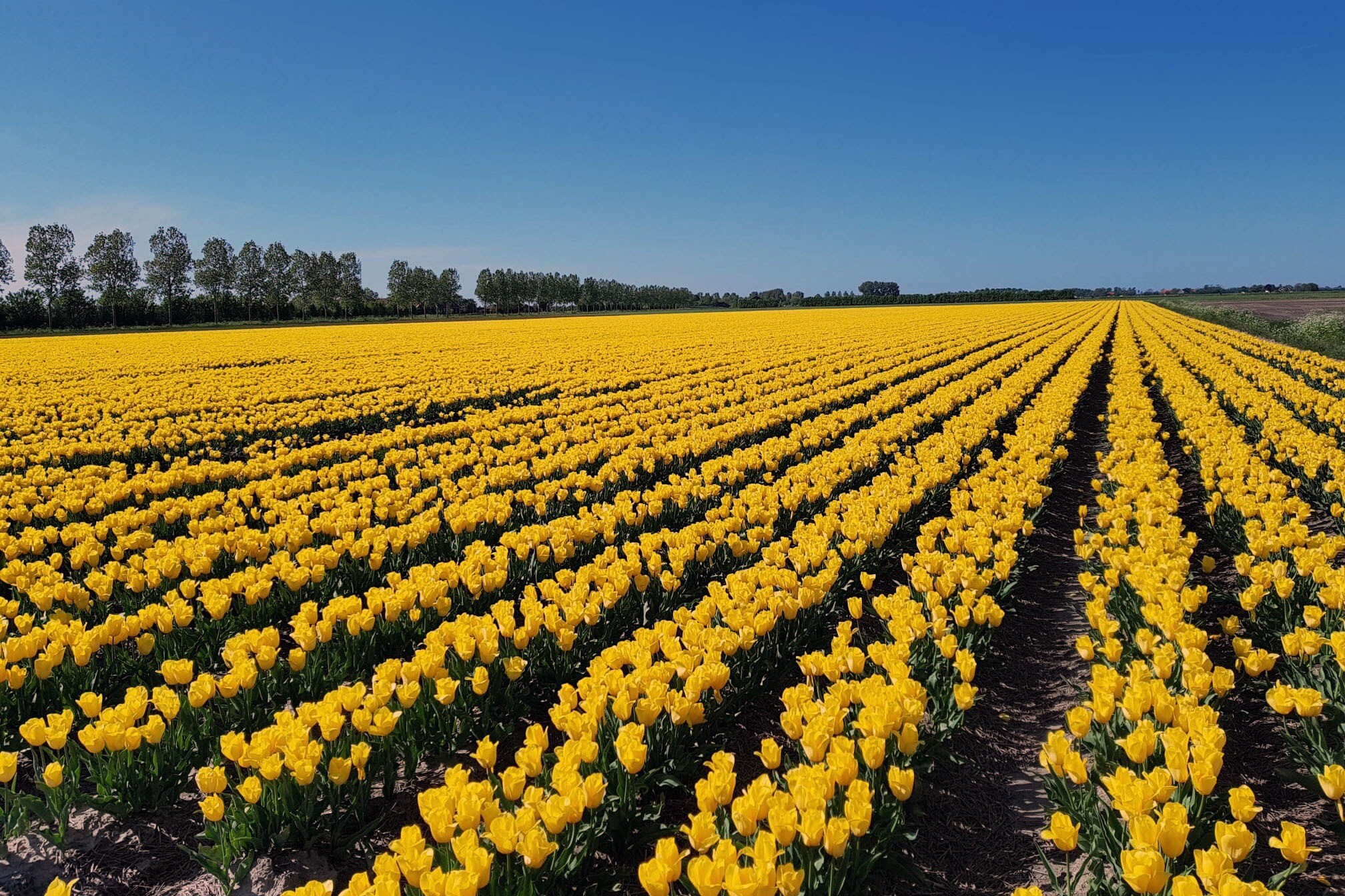 Camping de Kreekoever