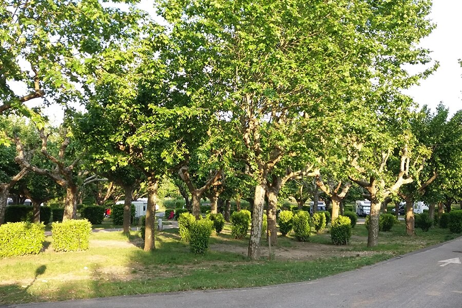 Camping de L'Ardèche - Vallon-Pont-d'Arc
