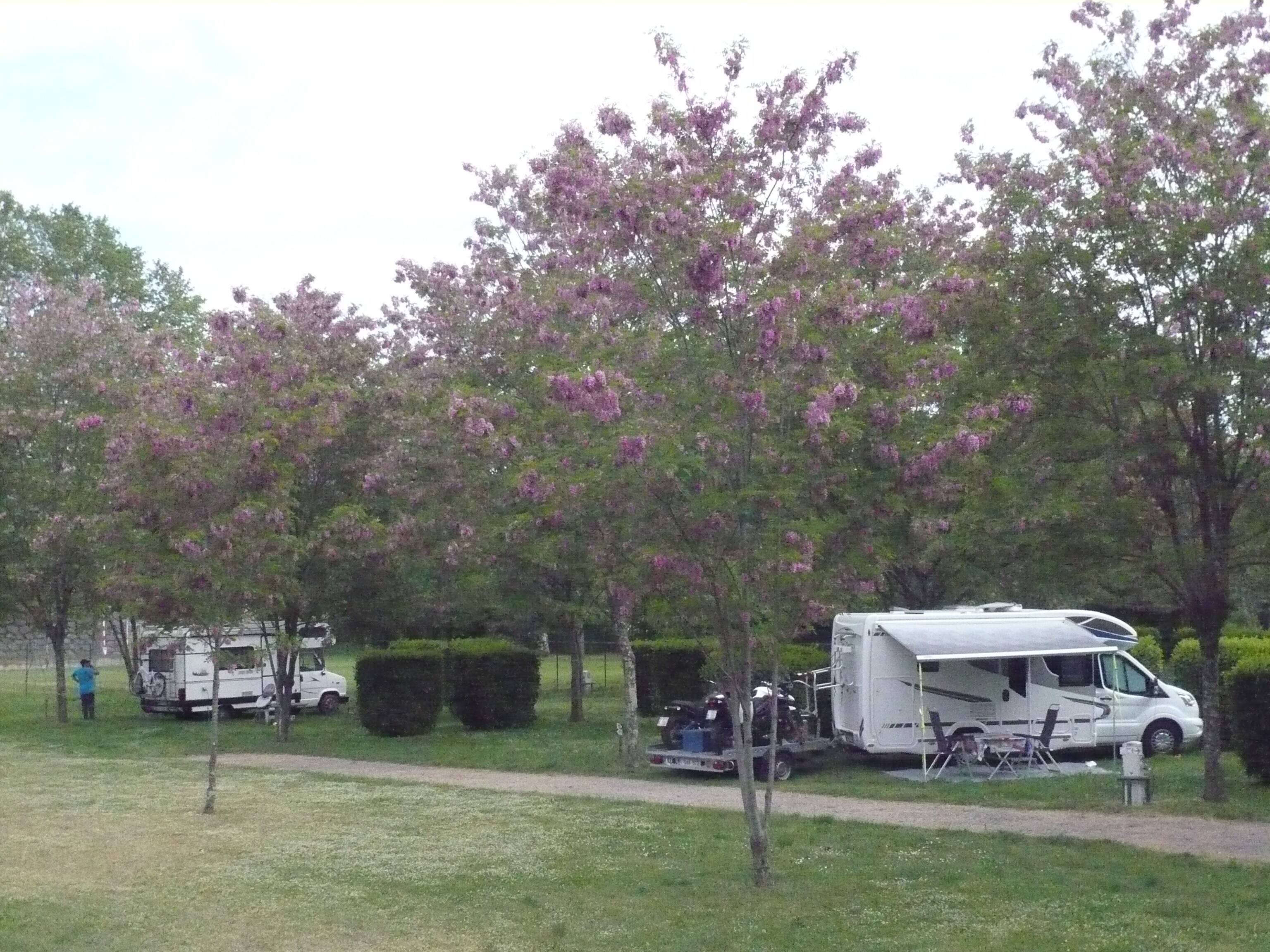 Camping de L'Ardèche - Vallon-Pont-d'Arc