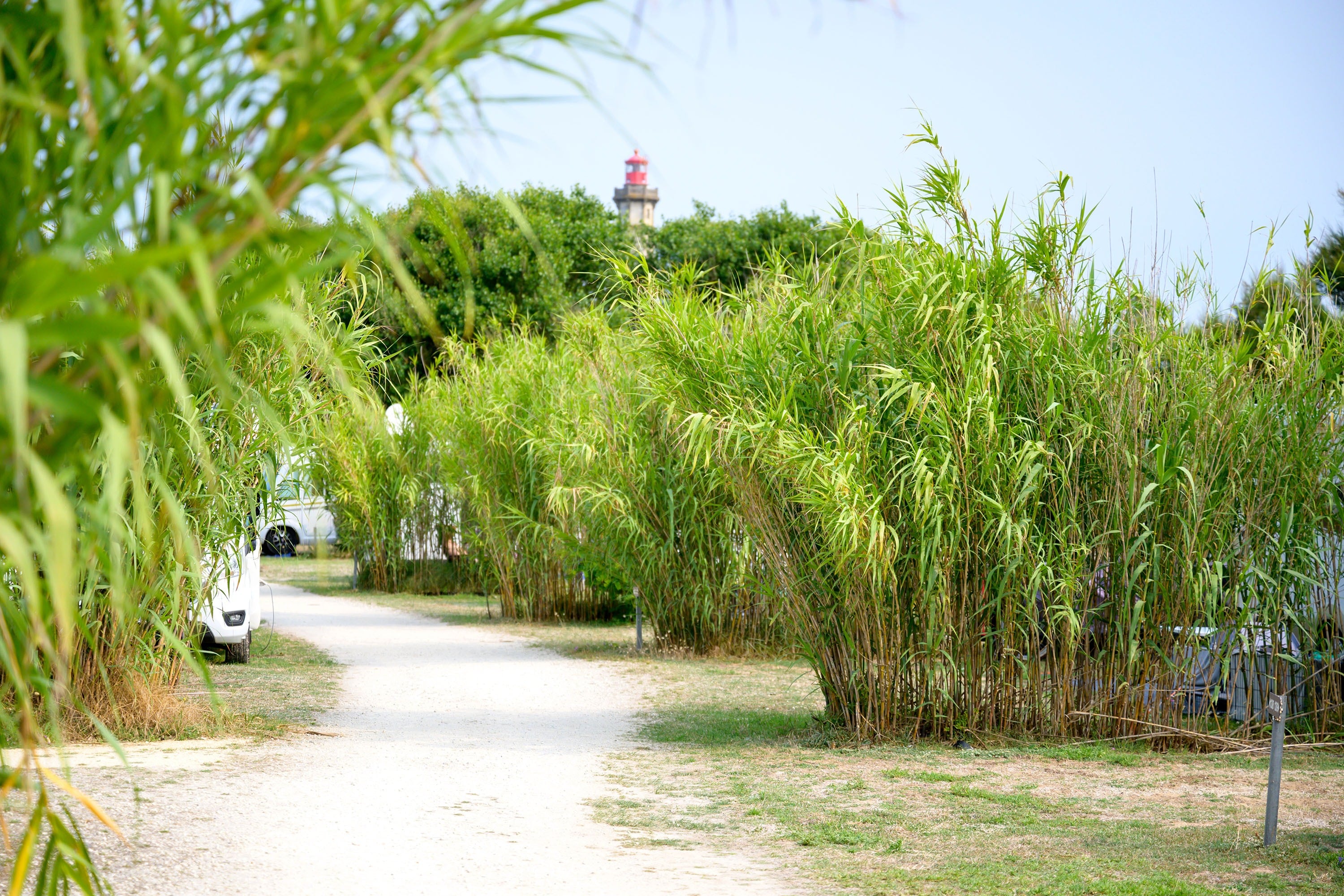 Camping Les Baleines