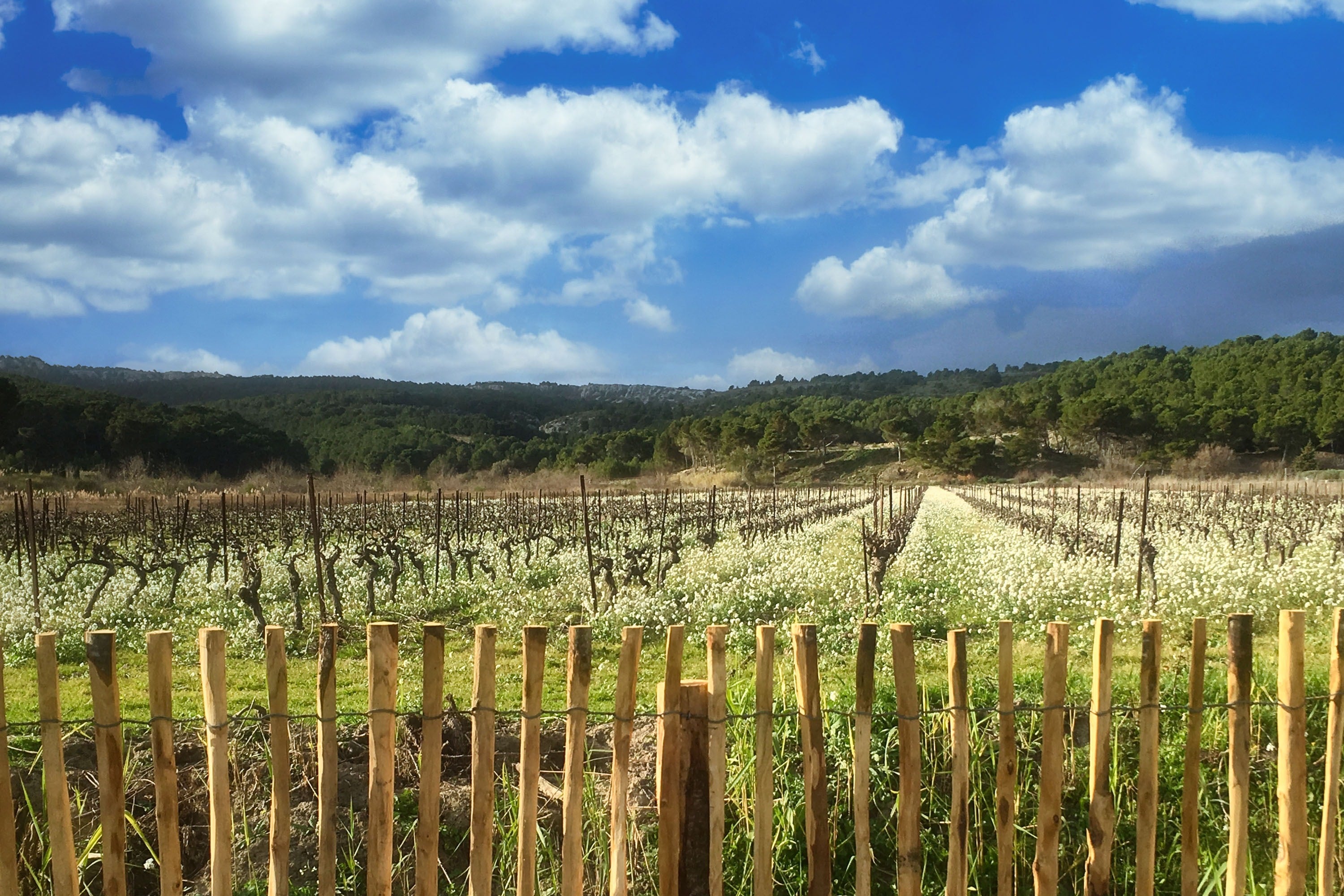 Camping Paradis Soleil d’Oc