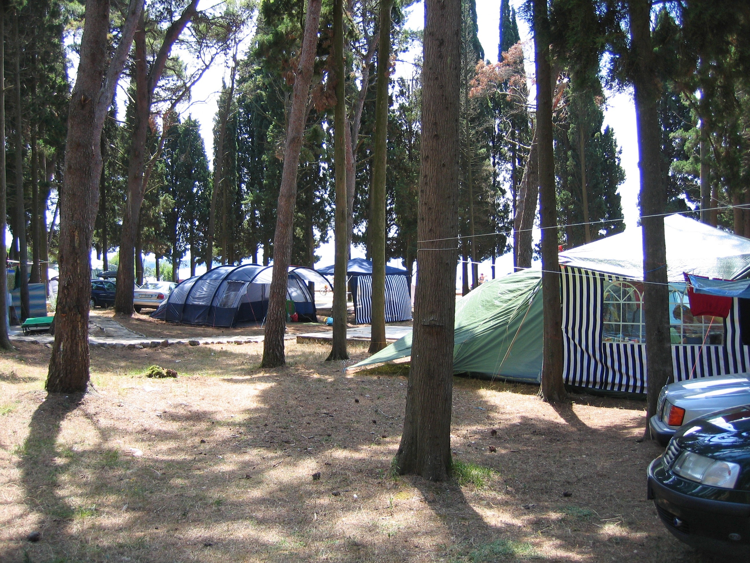 Camping Pineta