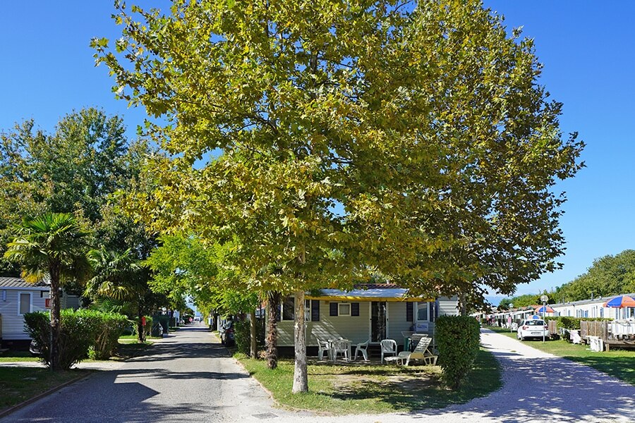 Camping Village Butterfly