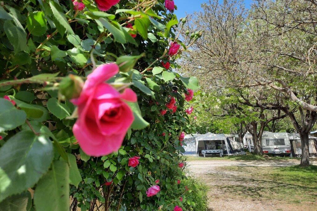 Camping Le Pontet