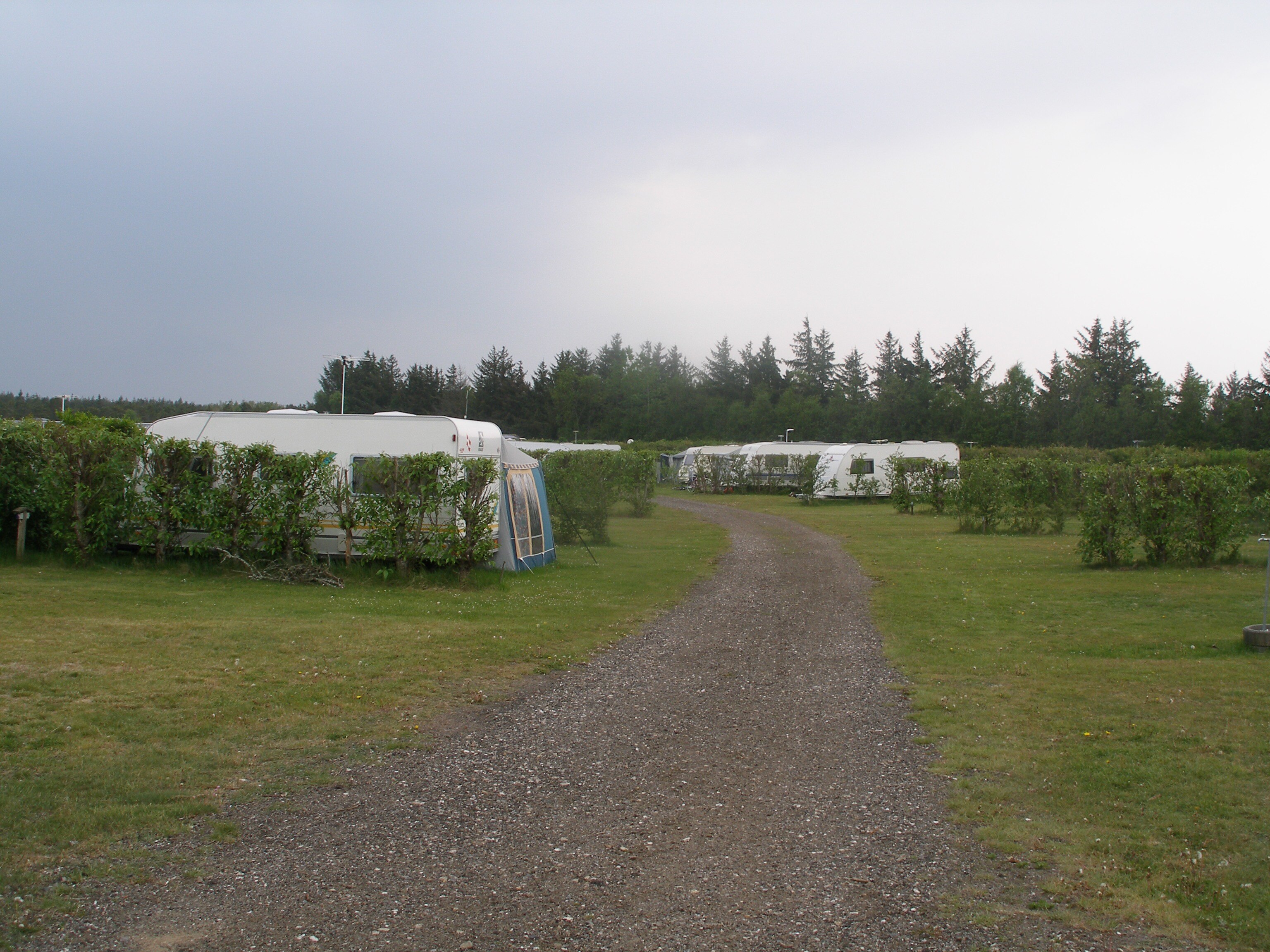 First Camp Råbjerg Mile - Skagen