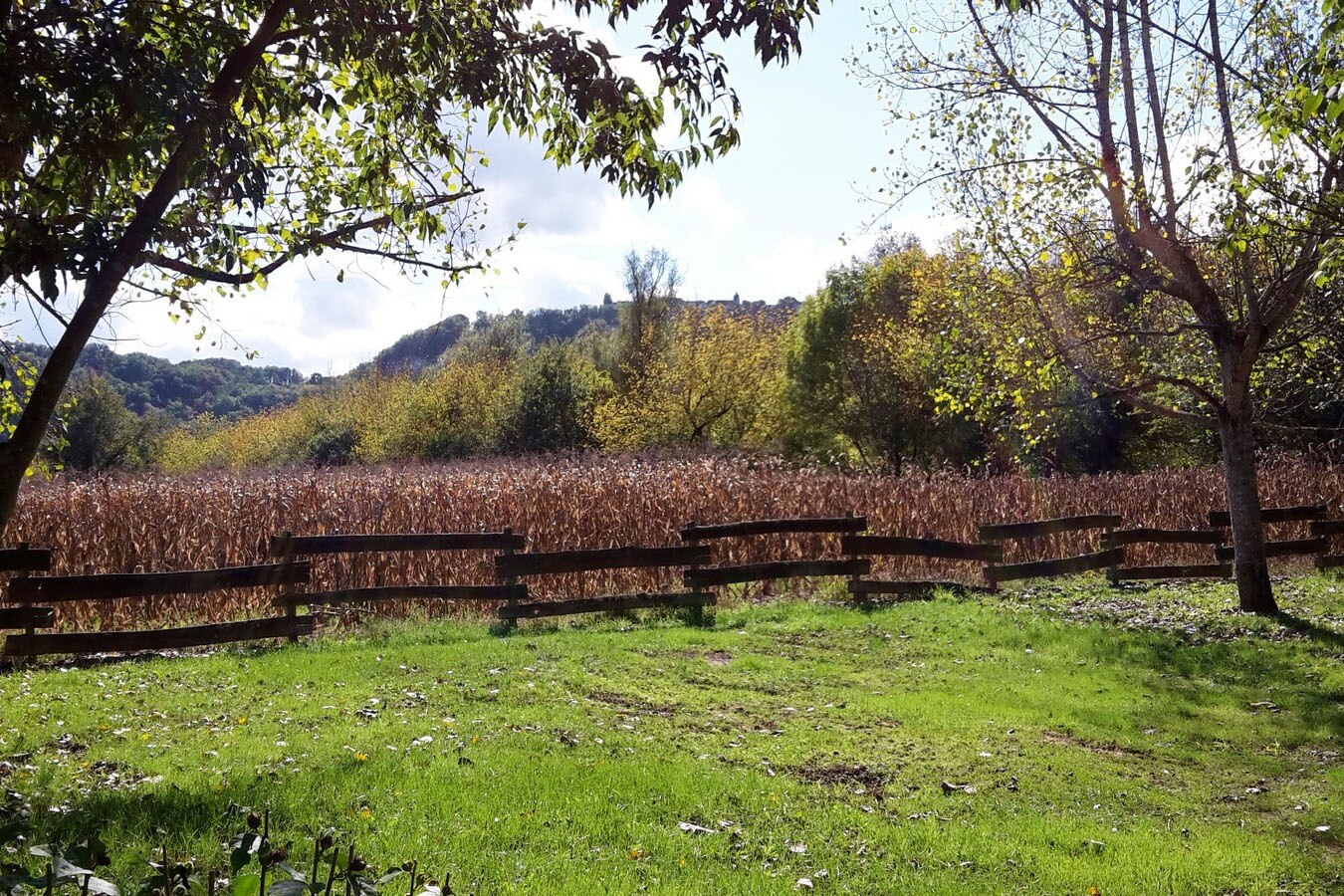 Camping Le Perpetuum