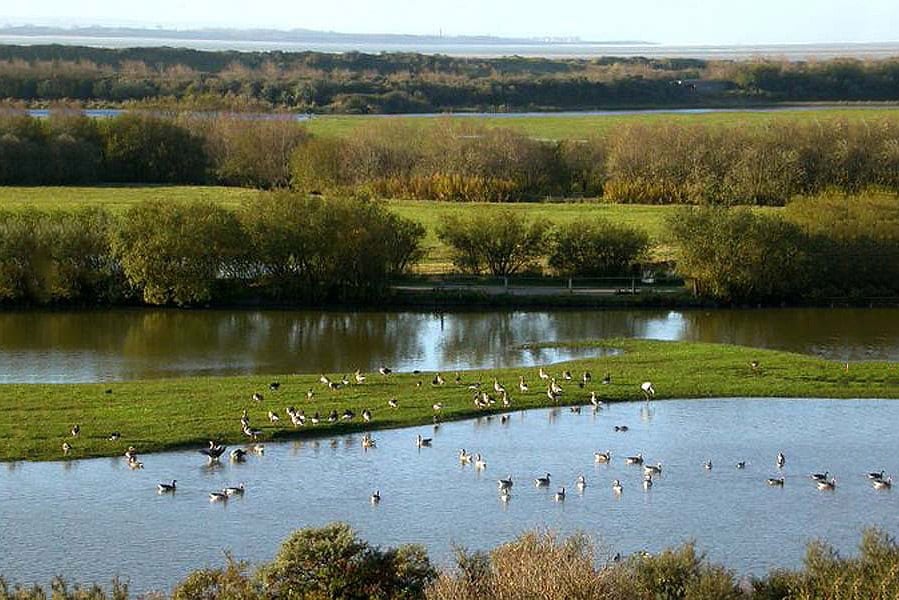 Camping Le Champ Neuf