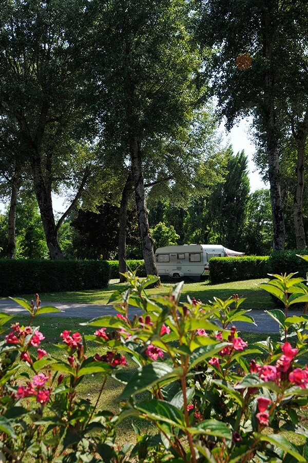 Flower Camping Du Port Caroline