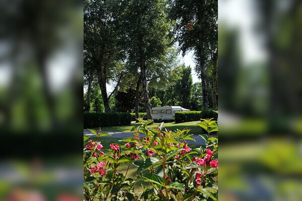 Flower Camping Du Port Caroline