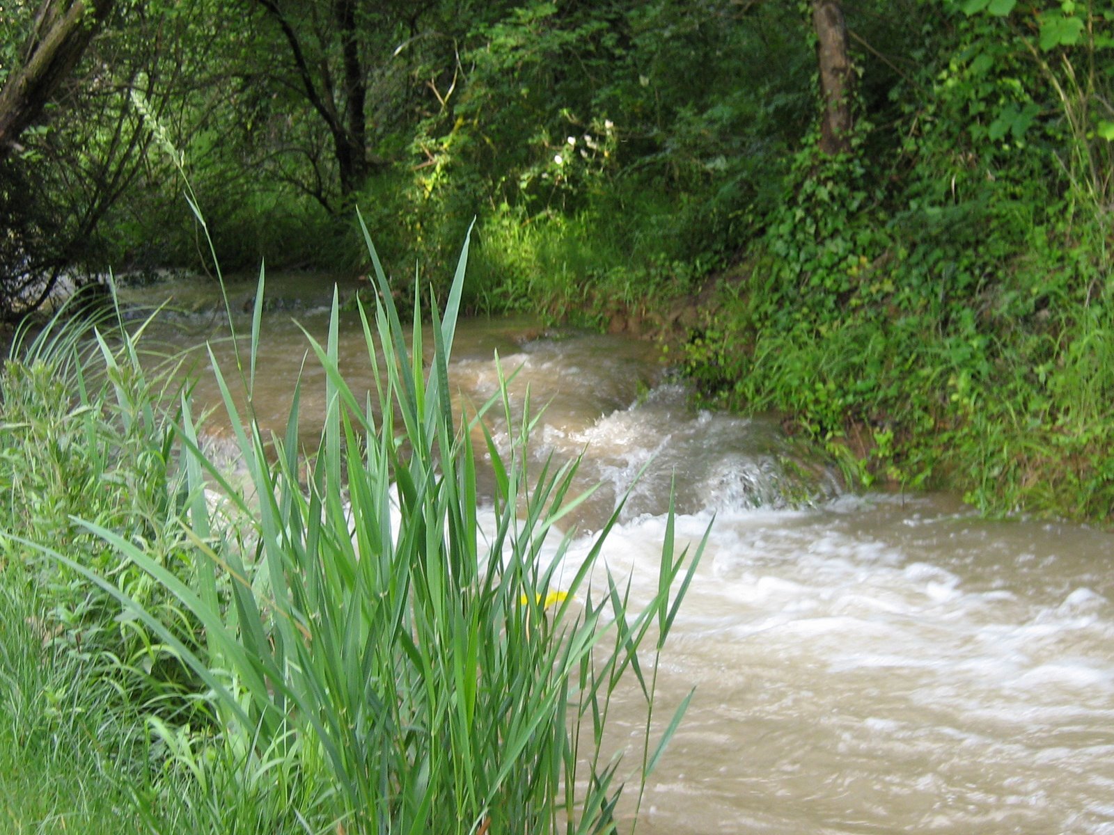 Camping Sainte Victoire