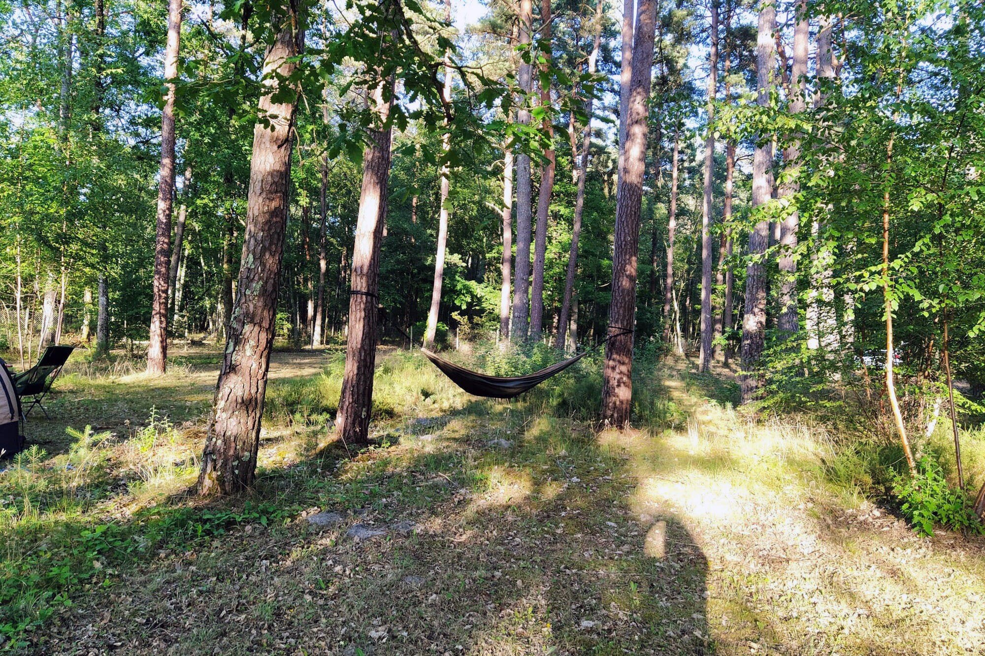 Camping Les Pins Onlycamp