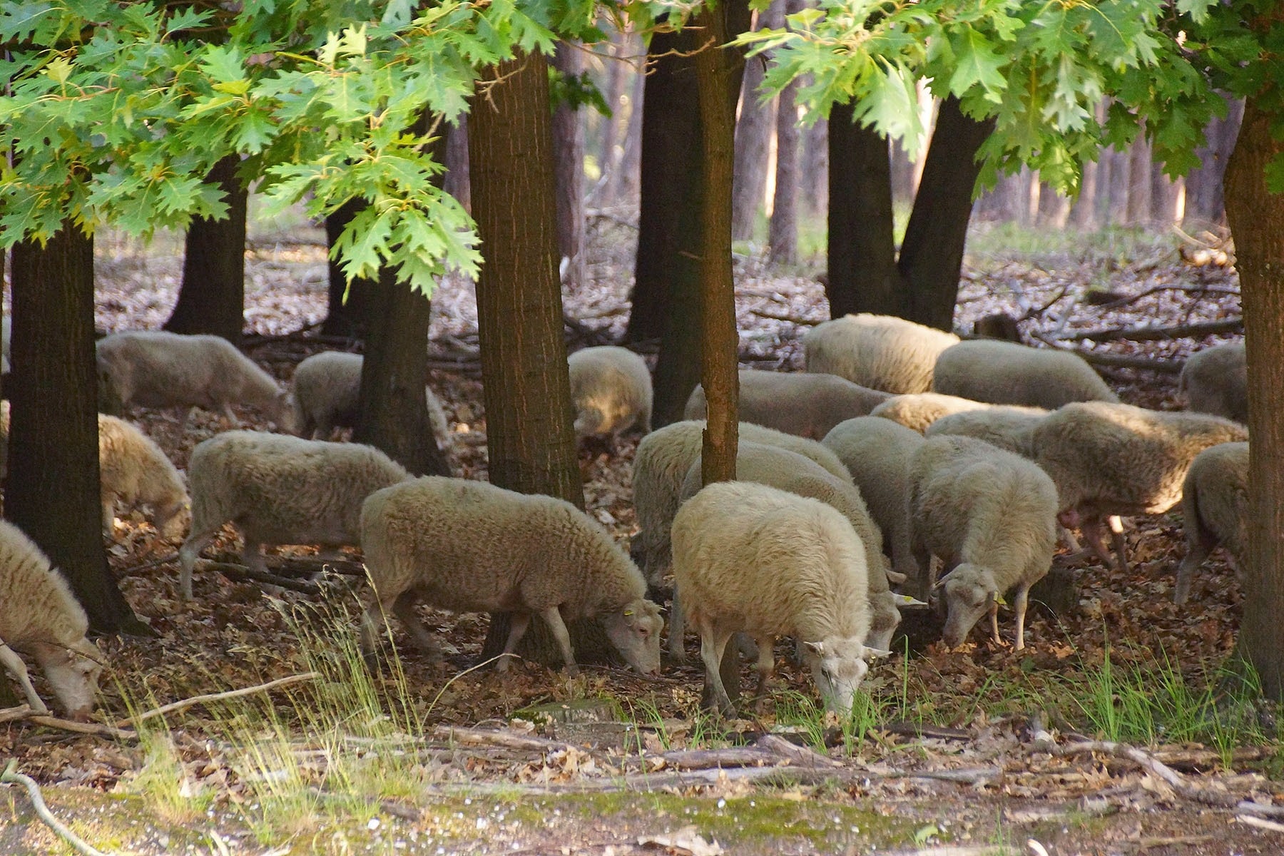 Camping Natuurplezier