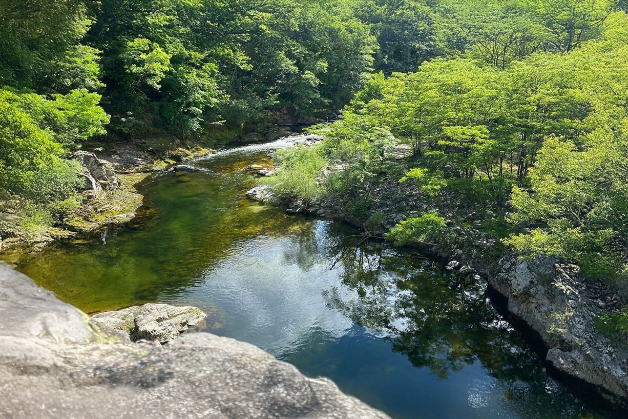 Camping Les Rives de l'Ardèche