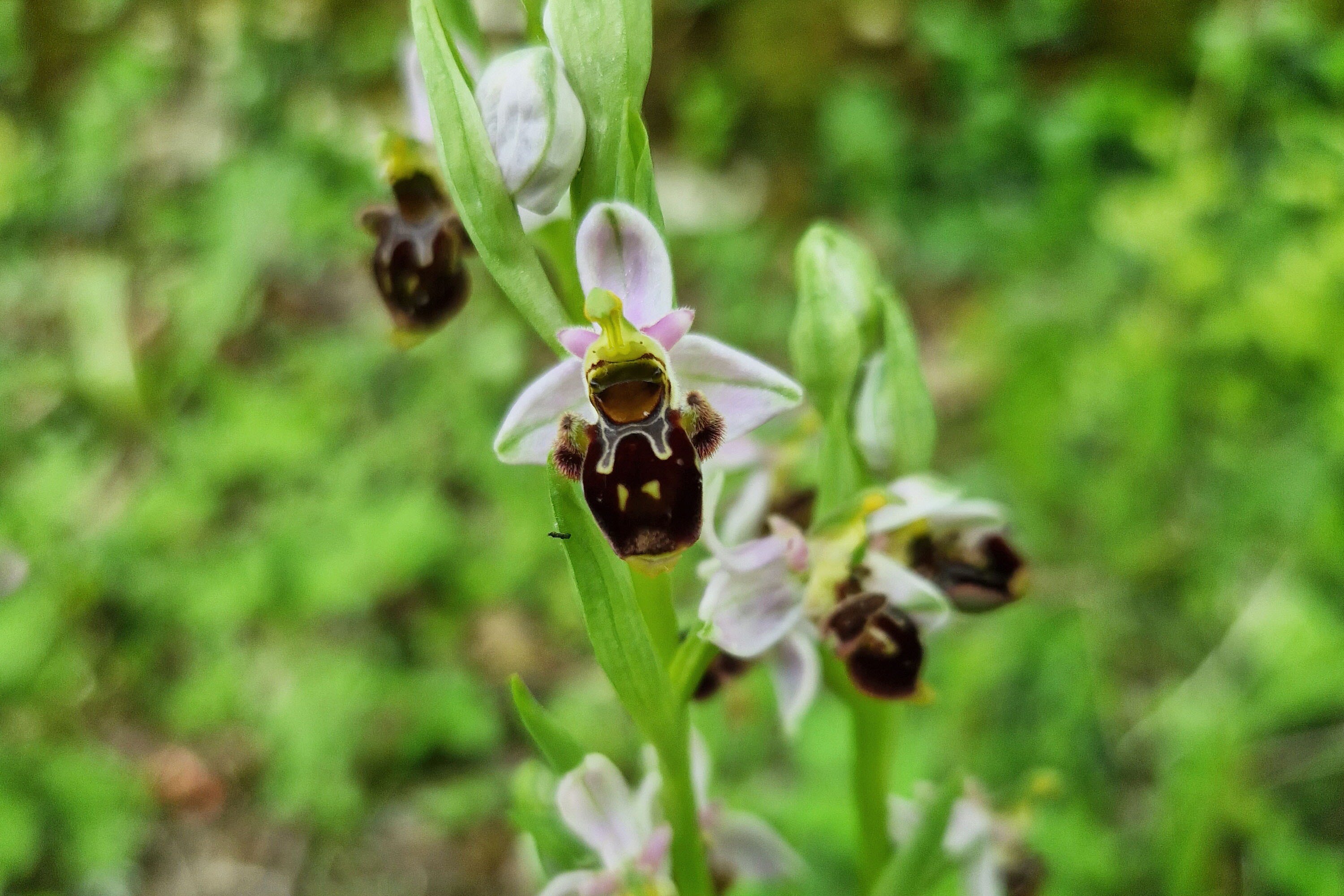 Camping Ruisseau du Treil