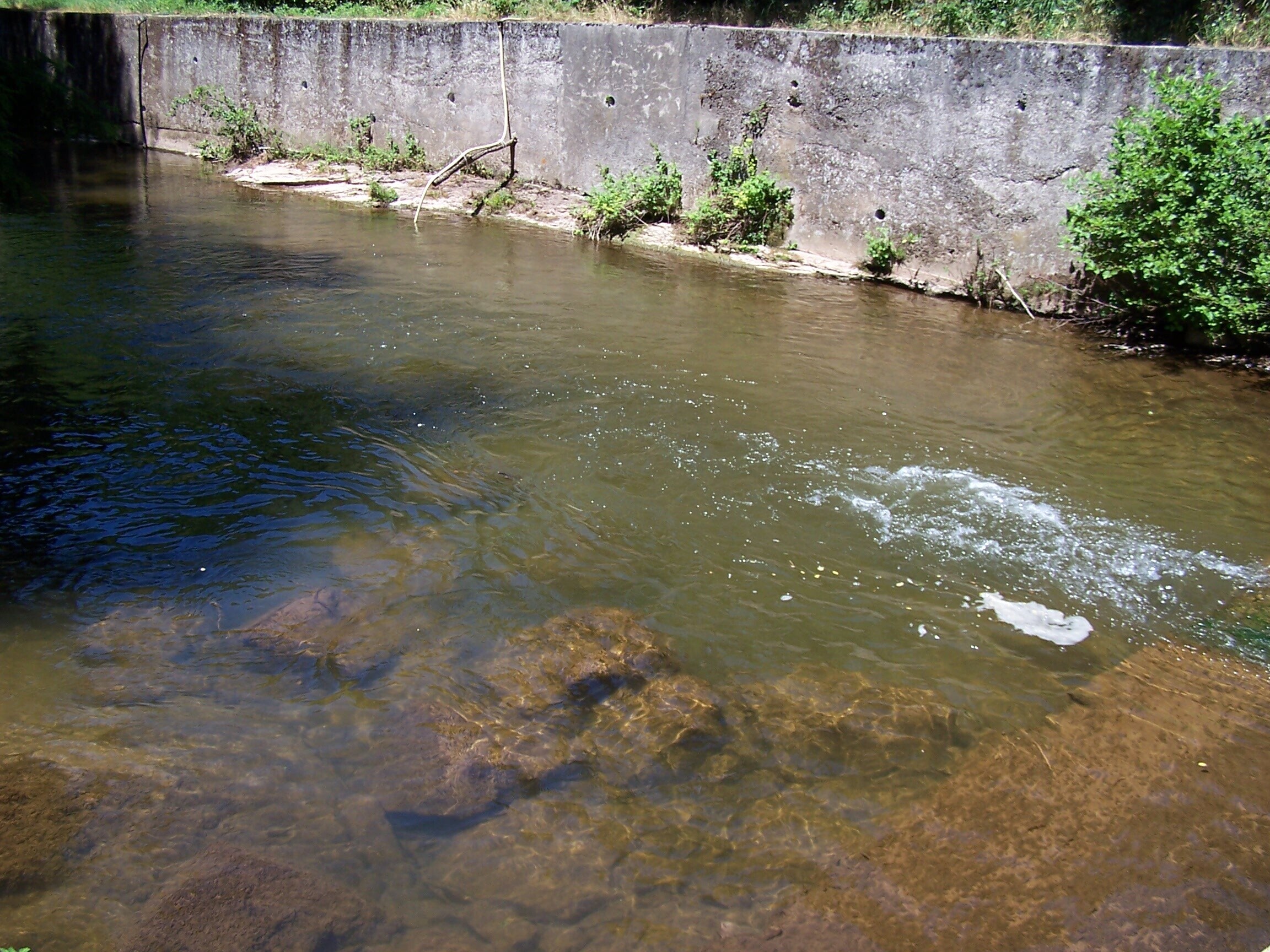 Camping Vert Lavande