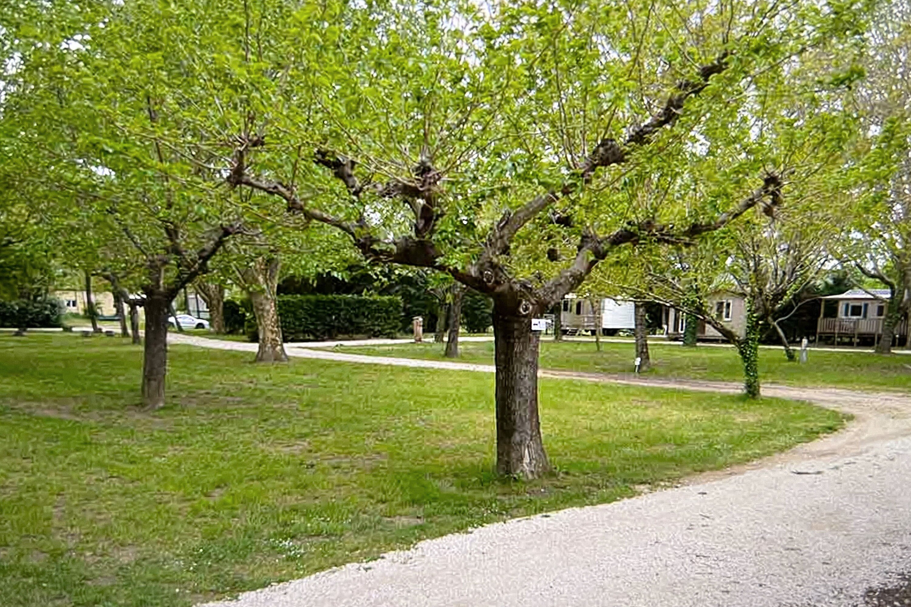 Camping Le Peyrolais