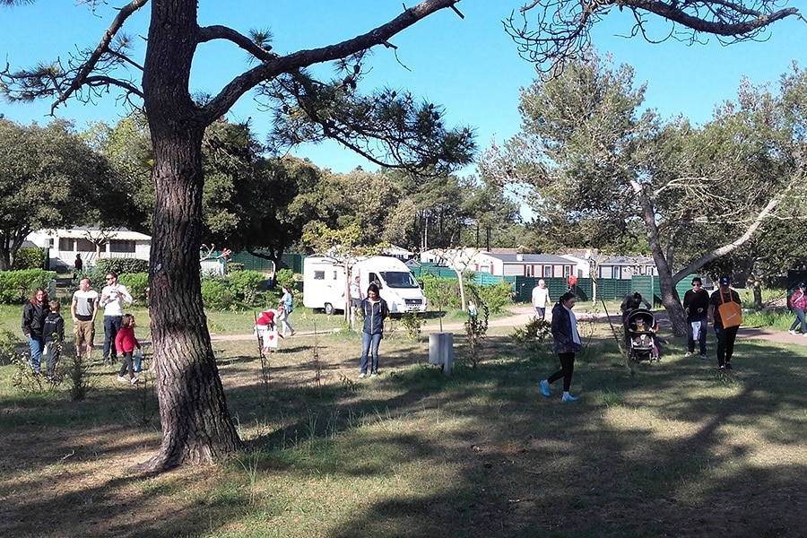Camping Les Sables Vignier Plage