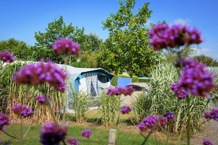 Flower Camping Le Petit Paris