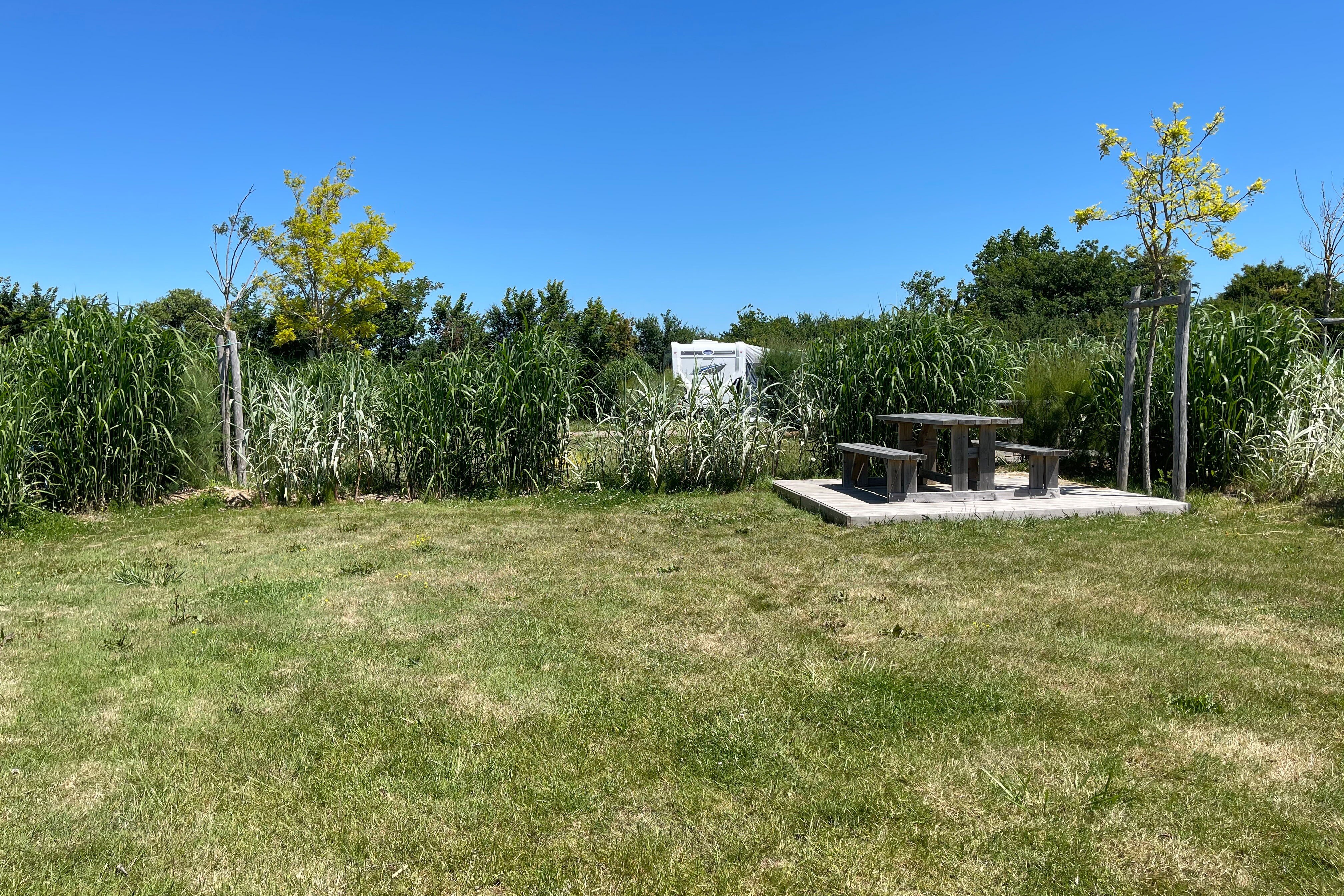 Flower Camping Le Petit Paris