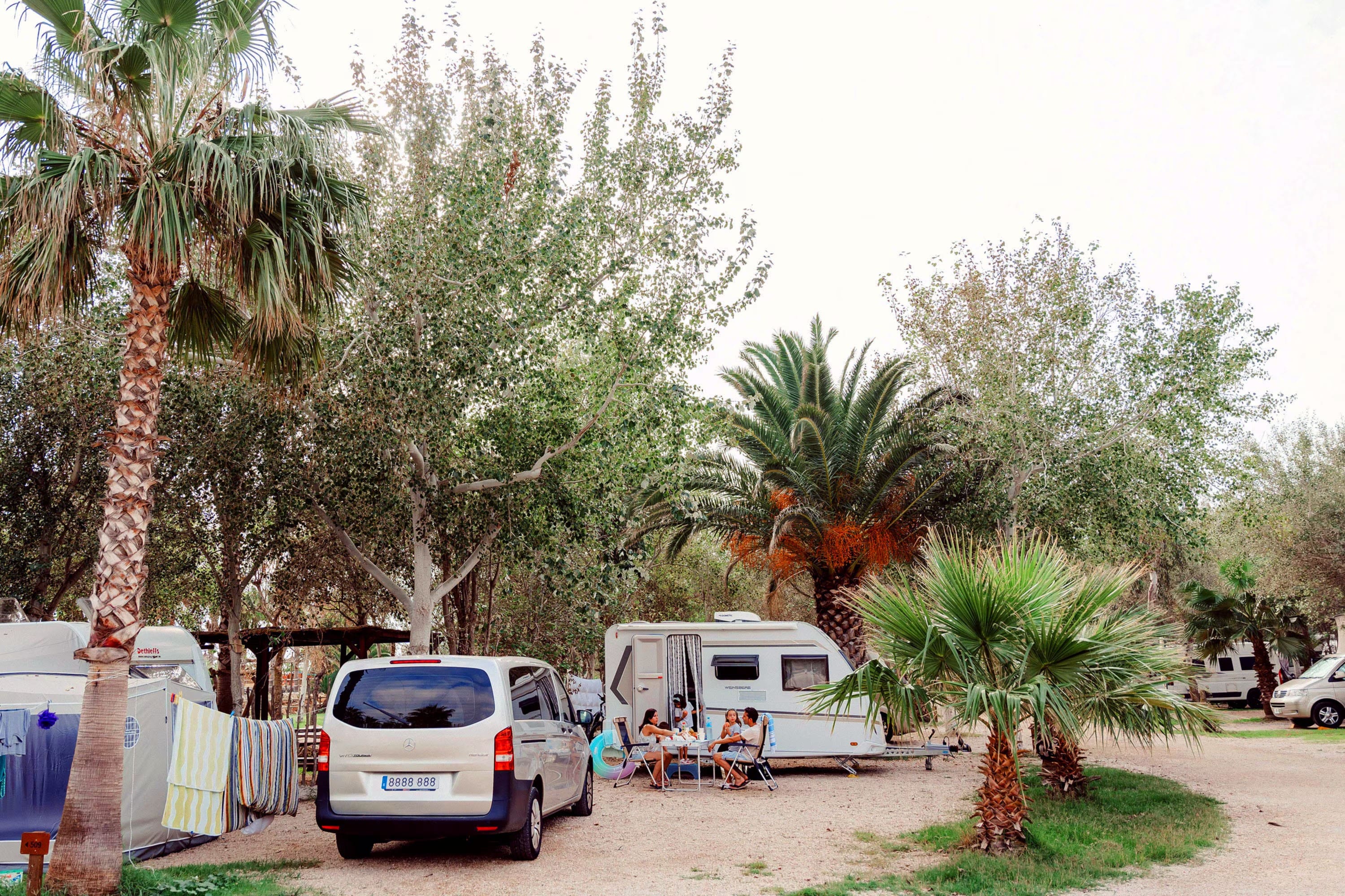 TAIGA Delta de l'Ebre