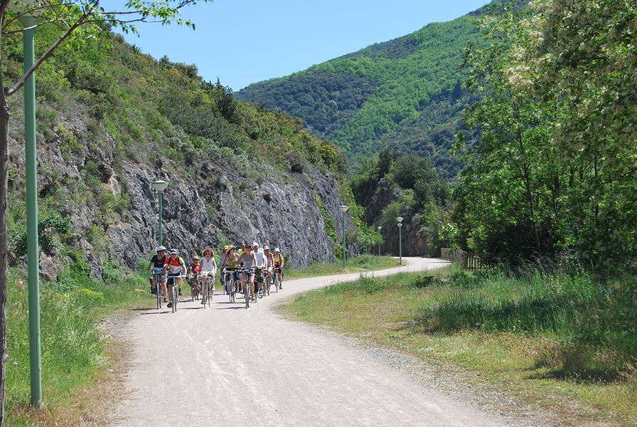 Camping Les Cerisiers du Jaur