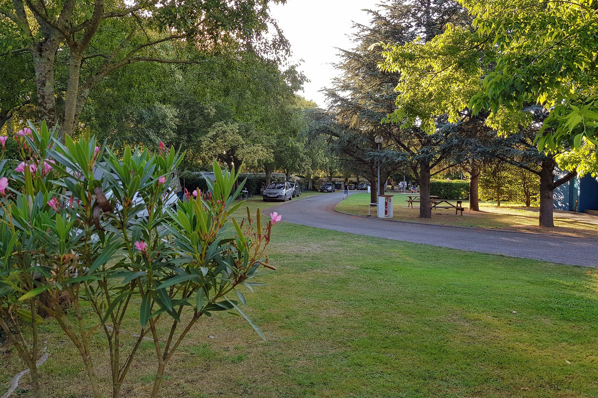 Camping Le Moulin du Roy