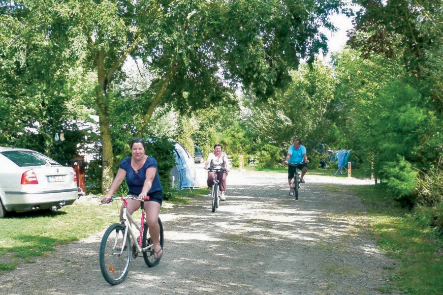 Camping L'Île Cariot